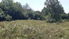 Land For Sale, Zhebota