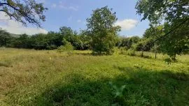 Land For Sale, Zhebota