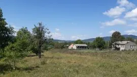 Land For Sale, Zhebota