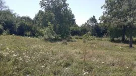 Land For Sale, Zhebota