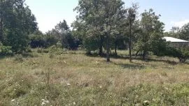 Land For Sale, Zhebota