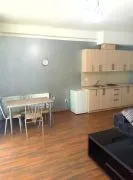 Apartment for sale, 2 Room, New building, Borjomi , Bakuriani