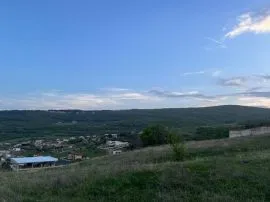 Land For Sale, Tsavkisi