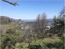 იყიდება მიწის ნაკვეთი, სასოფლო - სამეურნეო, ფერია
