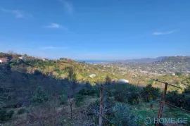 Land For Sale, Agricultural, Peria