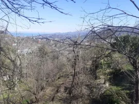 იყიდება მიწის ნაკვეთი, სასოფლო - სამეურნეო, ფერია