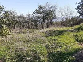 იყიდება მიწის ნაკვეთი, სასოფლო - სამეურნეო, ფერია