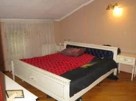 House For Sale, Nadzaladevi