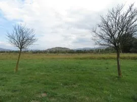 Land For Sale, Kavtiskhevi