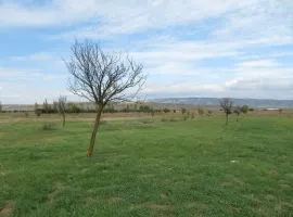 Land For Sale, Kavtiskhevi