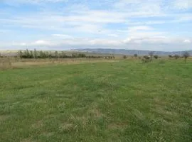 Land For Sale, Kavtiskhevi