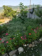 House For Sale, 5 Room, Dusheti , Choporti