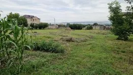 Продается Земля, Krtsanisi 