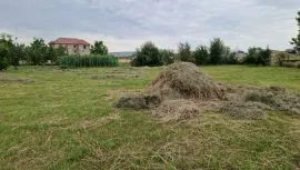 Продается Земля, Krtsanisi 