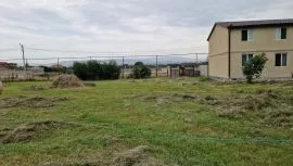 Продается Земля, Krtsanisi 