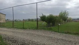 Продается Земля, Krtsanisi 