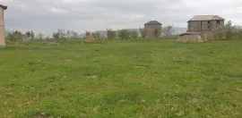 Продается Земля, Krtsanisi 