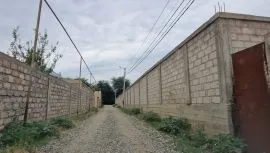 Продается Земля, Krtsanisi 