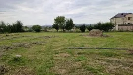 Продается Земля, Krtsanisi 