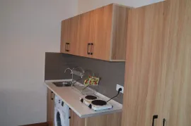 Apartment for sale, 2 Room, New building, Borjomi , Bakuriani