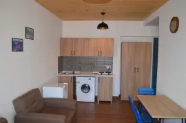 Apartment for sale, 2 Room, New building, Borjomi , Bakuriani