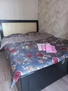 Daily Apartment Rent, 2 Room, New building, Tbilisi, Didi digomi