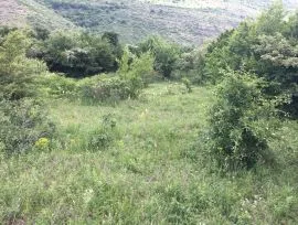 Land For Sale, Agricultural, Mtatsminda