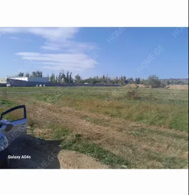 Продается Земля, Лило