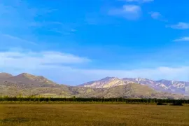 იყიდება მიწის ნაკვეთი, სასოფლო - სამეურნეო, ნიჩბისი