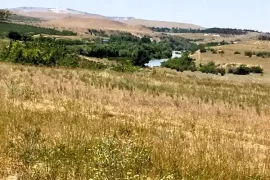 იყიდება მიწის ნაკვეთი, სასოფლო - სამეურნეო, ნიჩბისი