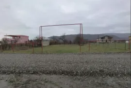იყიდება მიწის ნაკვეთი, სასოფლო - სამეურნეო, მისაქციელი