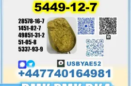BMK glycidic acid 5449-12-7 PMK 28578-16-7 Source factory