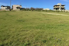 Land For Sale, Agricultural, Shindisi