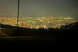 იყიდება მიწის ნაკვეთი, სასოფლო - სამეურნეო, შინდისი
