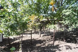 Продается Земля, Сельскохозяйственные, Mzianeti