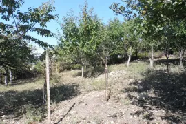 Продается Земля, Сельскохозяйственные, Mzianeti