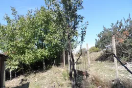 Продается Земля, Сельскохозяйственные, Mzianeti