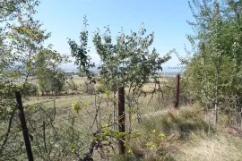 Продается Земля, Сельскохозяйственные, Mzianeti