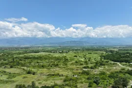 იყიდება მიწის ნაკვეთი, სასოფლო - სამეურნეო, თელავი
