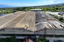 იყიდება მიწის ნაკვეთი, სასოფლო - სამეურნეო, თელავი