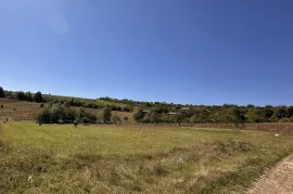Land For Sale, Agricultural, Pirmisaani