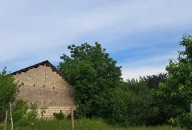 Продается Земля, Сельскохозяйственные, Дзалиси