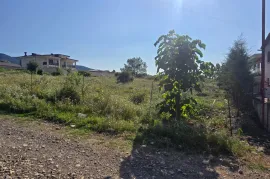იყიდება მიწის ნაკვეთი, სასოფლო - სამეურნეო, ნავდარაანთკარი