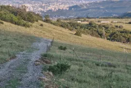 იყიდება მიწის ნაკვეთი, სასოფლო - სამეურნეო, სოფ. დიღომი