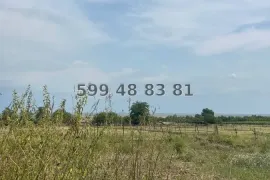 Продается Земля, Специальный, Дзвели Анага