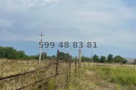 Продается Земля, Специальный, Дзвели Анага