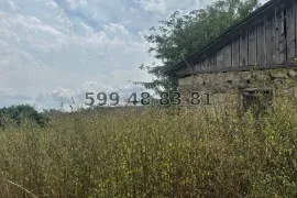 Продается Земля, Специальный, Дзвели Анага