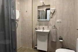 Apartment for sale, 1 Room, New building, Borjomi , Bakuriani