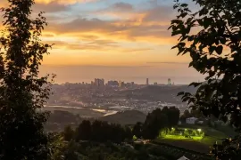 იყიდება მიწის ნაკვეთი, სასოფლო - სამეურნეო, თხილნარი