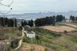 იყიდება მიწის ნაკვეთი, სასოფლო - სამეურნეო, თხილნარი
